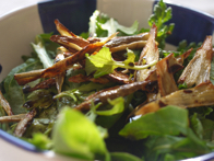 冬の青菜と新ごぼうのサラダ